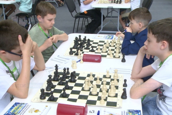 Этапы Кубка России по шахматам завершились в Брянске