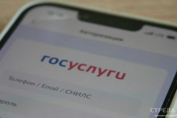 Брянцам помогает решать бытовые проблемы приложение «Госуслуги.Дом»