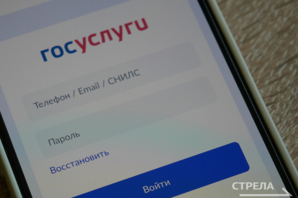 Брянцам помогает решать жилищные вопросы приложение «Госуслуги. Дом»