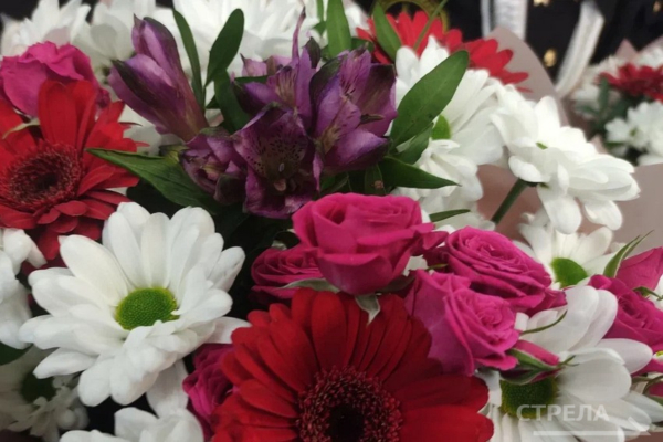 Двум брянским деятелям культуры присвоили почетное звание