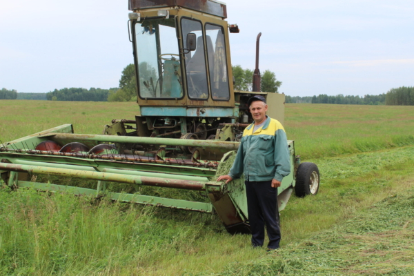 В ООО СП «Луч» приступили к косовице люцерны на сенаж