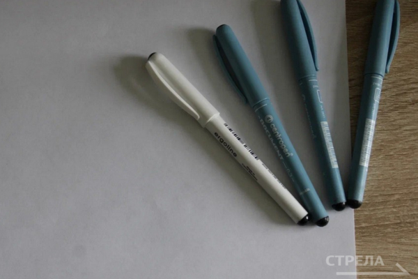 Брянские школьники сегодня сдают ЕГЭ по биологии, географии и иностранным языкам