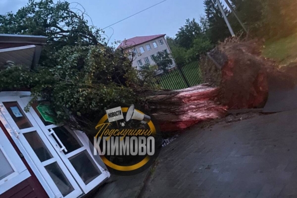 Глава Климовского района Брянской области обратился к жителям из-за урагана