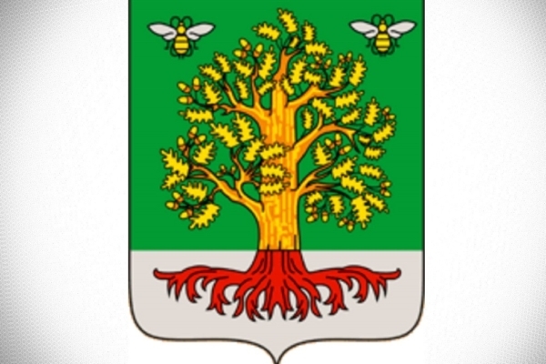 Уважаемые жители Гордеевского района, дорогие земляки!