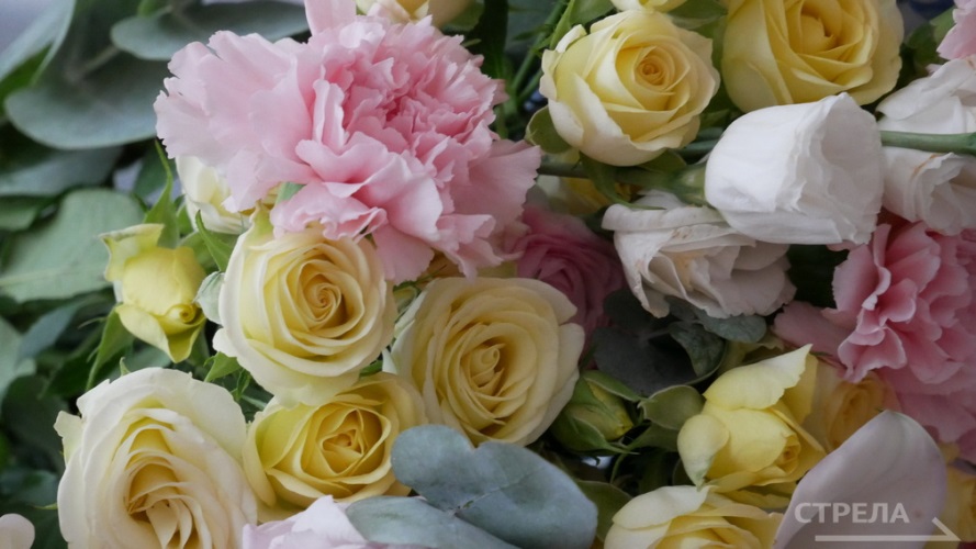 Высоких государственных наград удостоены жители Брянской области