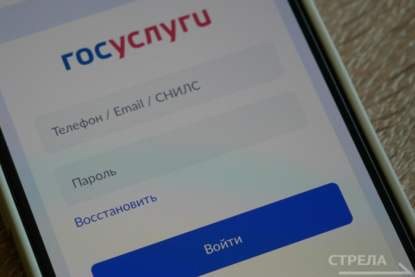 Жителям Брянщины помогает разобраться в жилищных вопросах приложение «Госуслуги.Дом»