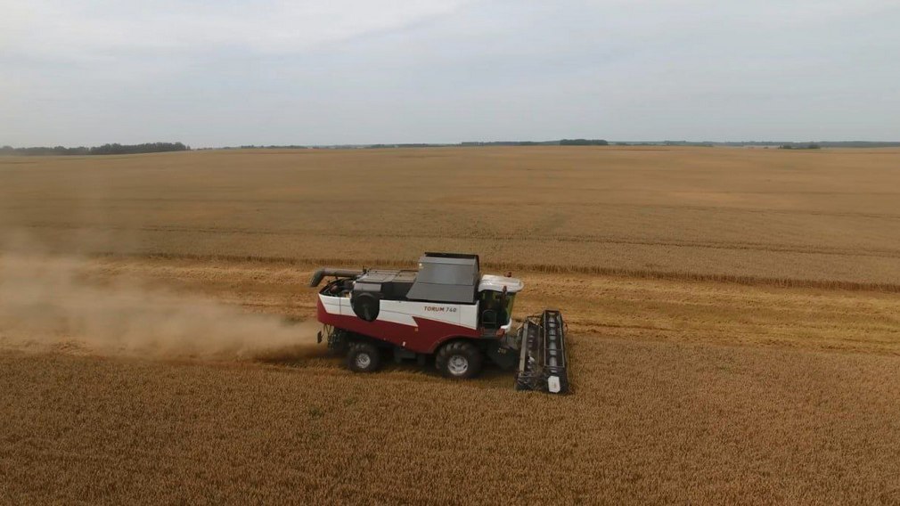 В Брянской области идёт уборка зерновых культур