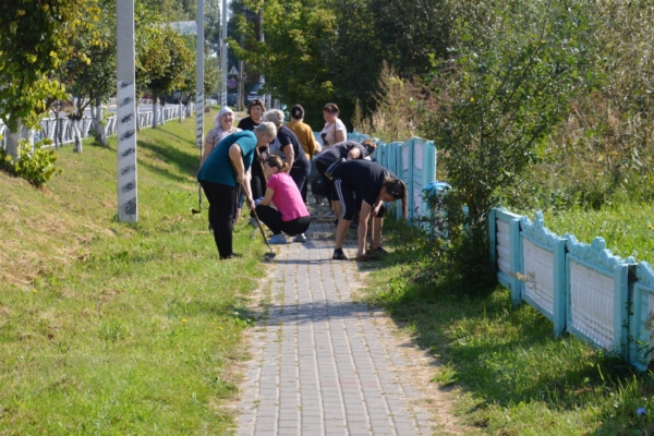 В Гордеевском районе прошел субботник