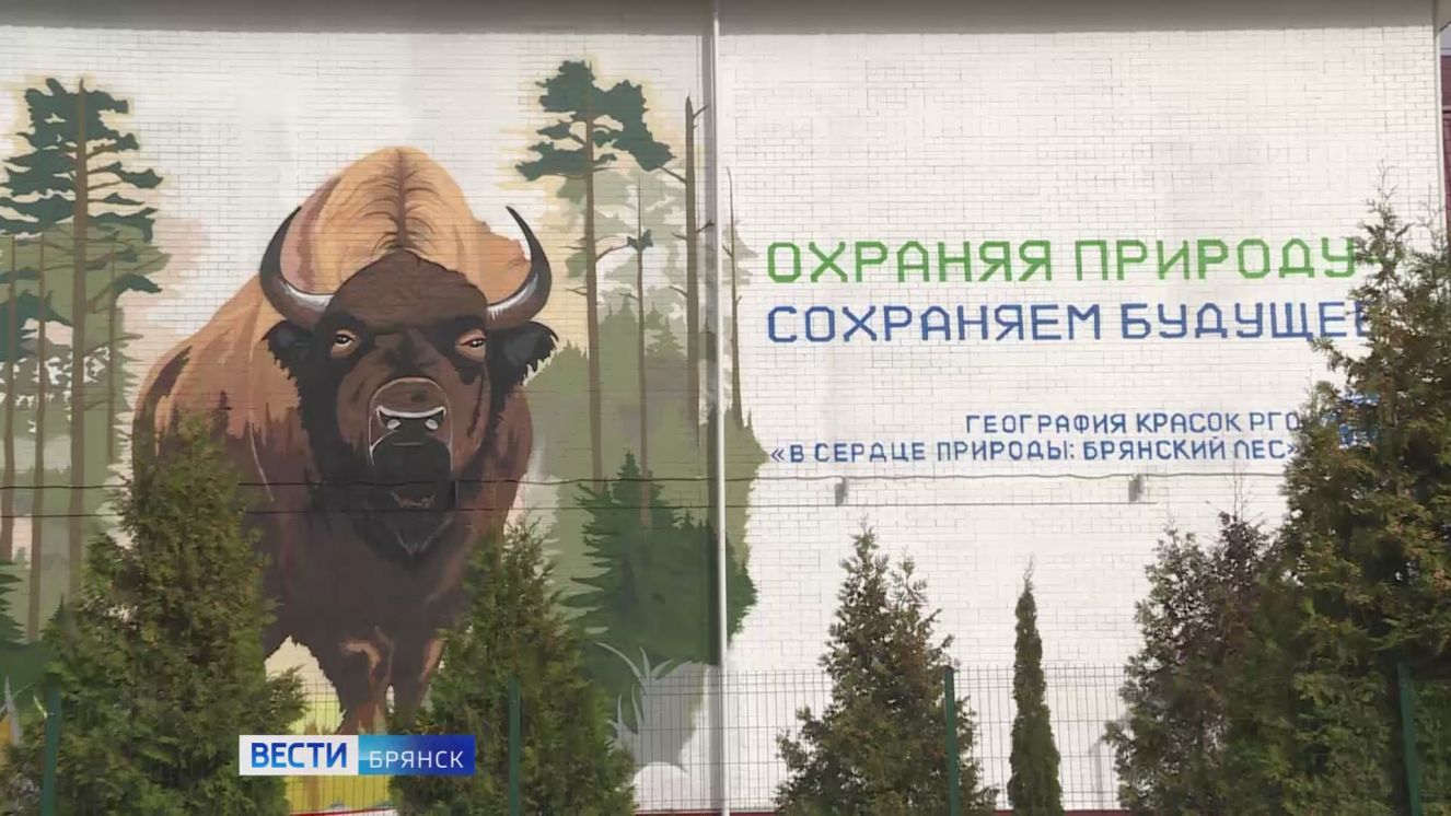 На фасаде здания школы №59 в Брянске появился мурал с заповедным зубром