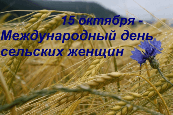 Сельская женщина – какая она?