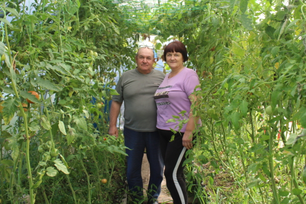 Каждый двор хозяином хорош