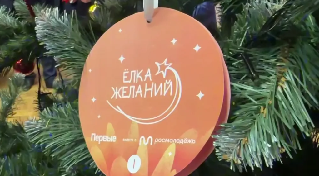 Брянский губернатор принял участие в новогодней акции «Елка желаний» (0+)