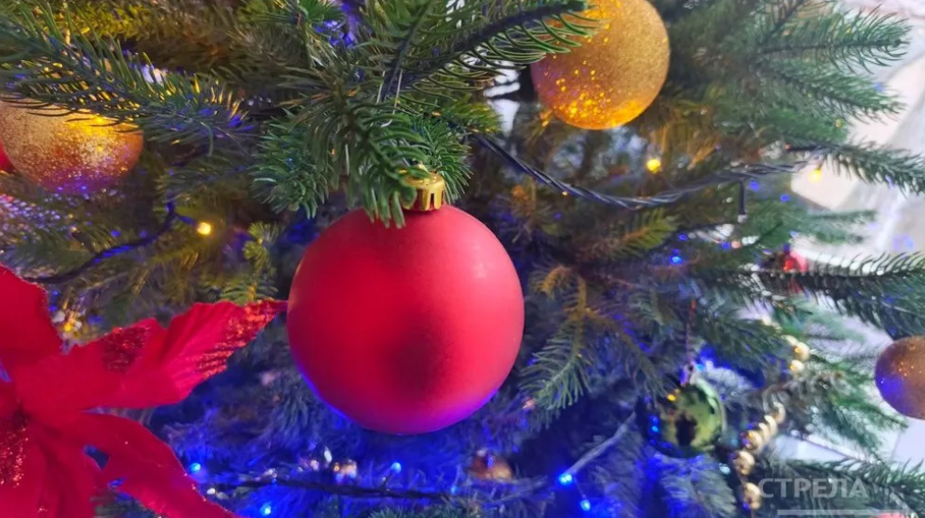 На Брянщине стартует благотворительная акция «Ёлка желаний»