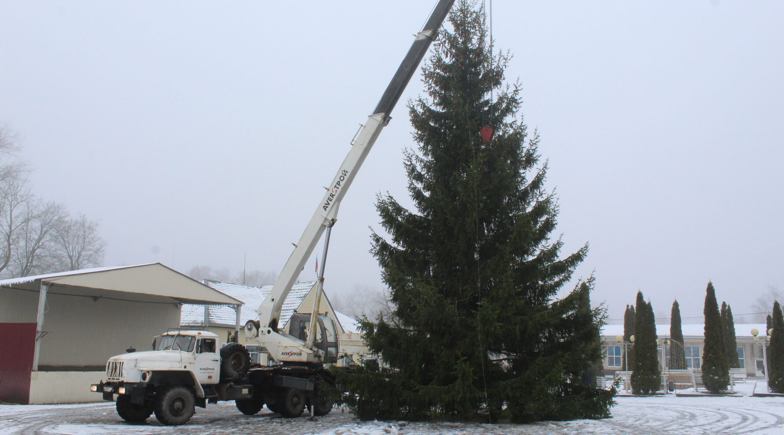 С новосельем, ёлочка!