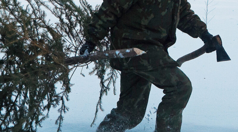 Клинцовское лесничество информирует: