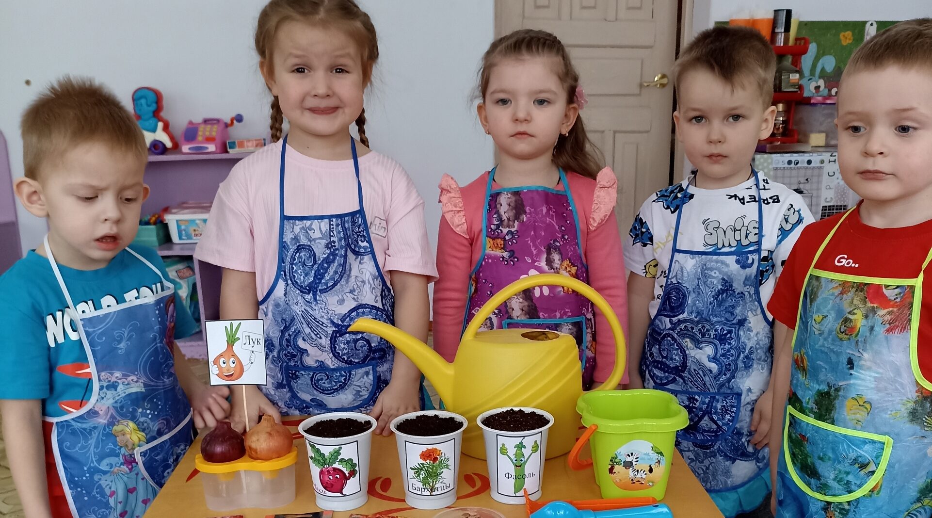 Чудо – огород на окне