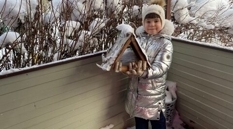 Кормушки для птиц: дети помогают пернатым в детском саду