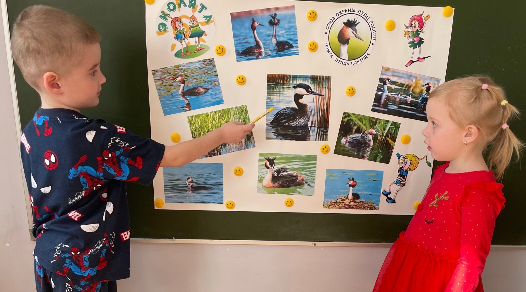 Чомга – птица года 2026 в России