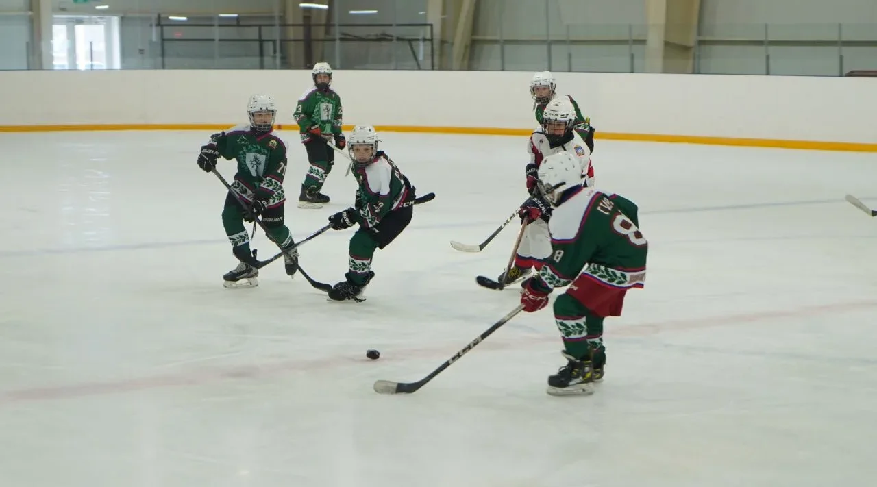 На Брянщине подвели итоги губернаторского Кубка по хоккею среди юношей