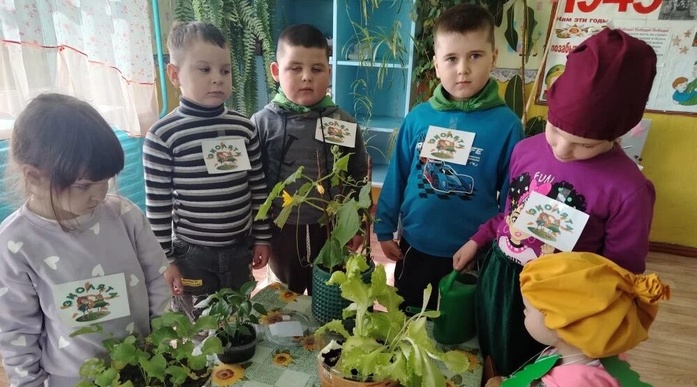 Эколята ухаживают за огородом