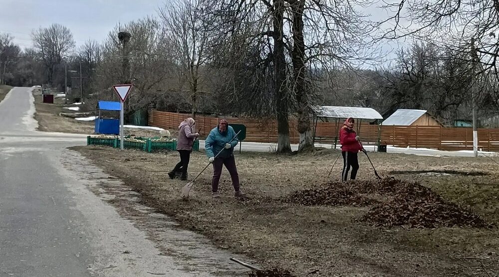 Наведём порядок на малой родине. Обращение к жителям Гордеевского района