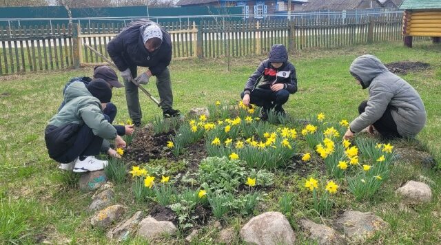 Акция «Зеленая весна»