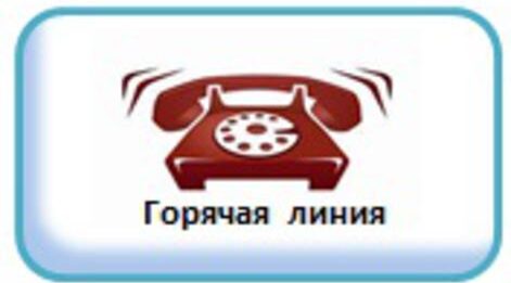Организована горячая линия