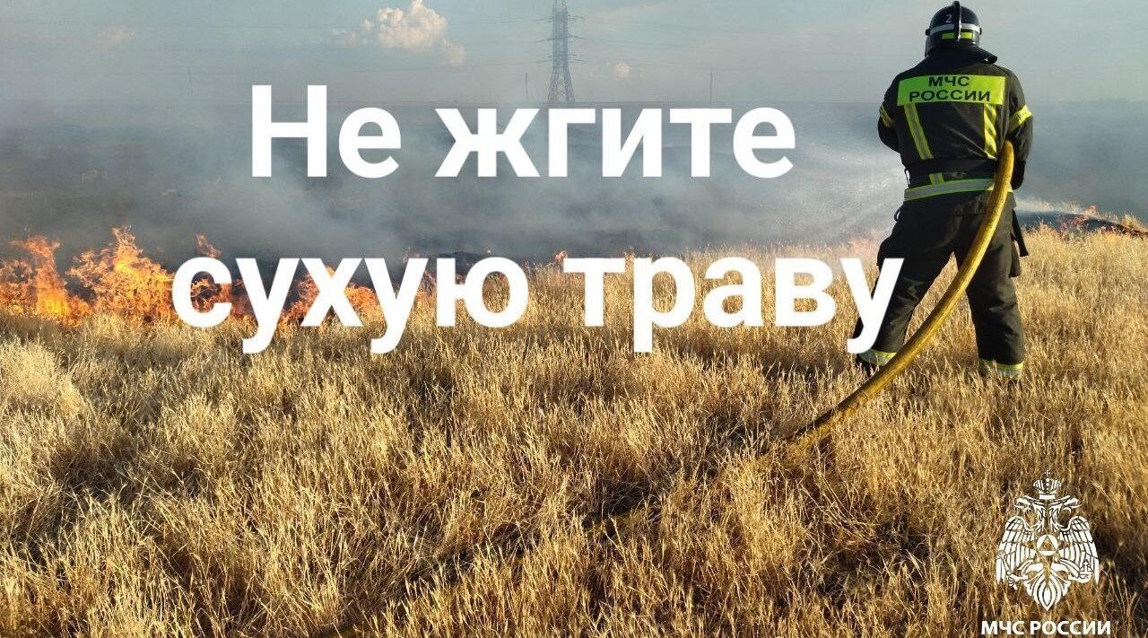 Пожарная безопасность в осенний период: риски сжигания сухой травы
